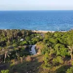 Bán 5 sào đất view biển Phú Quý, Bình Thuận 10,96 tỷ - Ảnh thu nhỏ 4