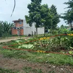 Bán đất 380m2 tại đường 925, thị trấn Mái Dầm, Châu Thành, Hậu Giang, chỉ với 1.8 tỷ VND - Ảnh thu nhỏ 5