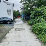 Vườn ngay trung tâm TP, ngay quảng trường sau lưng bệnh viện TP, giá tốt - Ảnh thu nhỏ 10