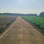 Bán đất Xuân Đông Đồng Nai 1000 m2 - Ảnh thu nhỏ 2