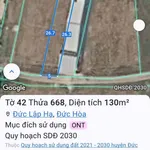 Bán đất 130m2 Đức Lập Hạ Long An 1 tỷ 250 triệu - Ảnh thu nhỏ 1