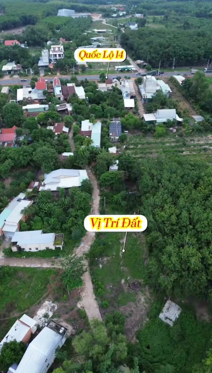 Bán đất nền đầu tư 1.392m2 đường số 30 Nha Bích, Nhà Bè - Ảnh thu nhỏ 2