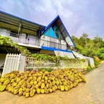 Bán nhà vườn 6.654m² Bảo Lộc 4,3 tỷ sầu riêng - Ảnh thu nhỏ 3