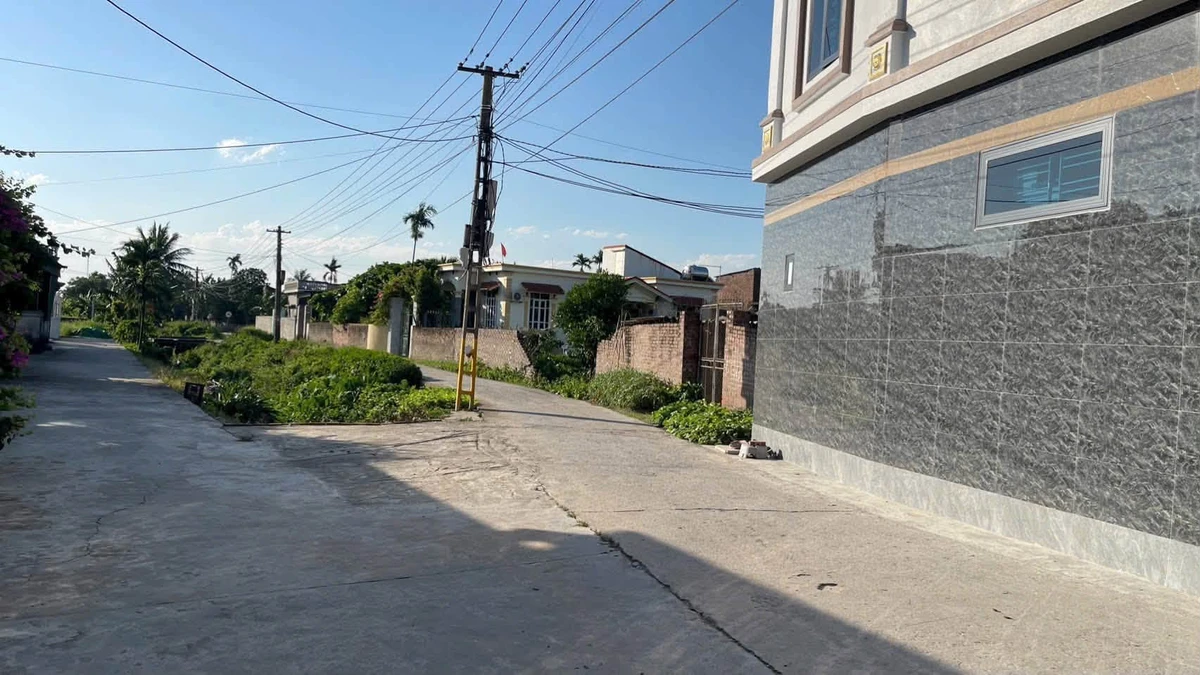 Bán lô đất 91,2m² Thôn Đươi, Đoàn Thượng, Hải Phòng 1,1 tỷ - Ảnh thu nhỏ 4