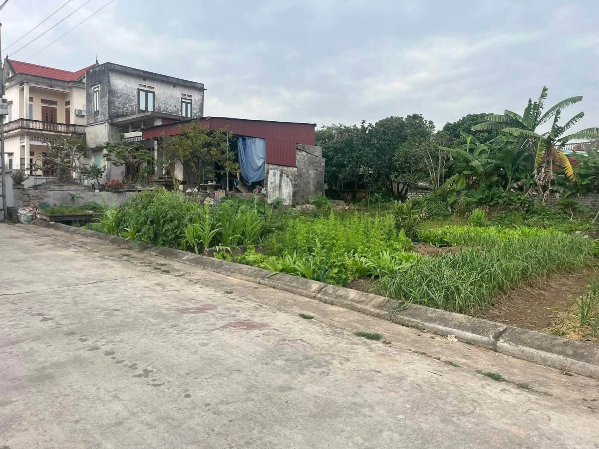Bán đất thổ cư 81m² Đông Xuyên, Ninh Giang, Hải Dương, giá 550 triệu - Ảnh thu nhỏ 2