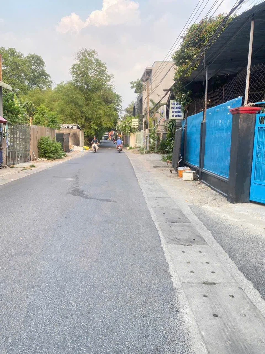 Bán đất 339m² gần Đại học Thủ Dầu Một, Bình Dương - Ảnh thu nhỏ 3