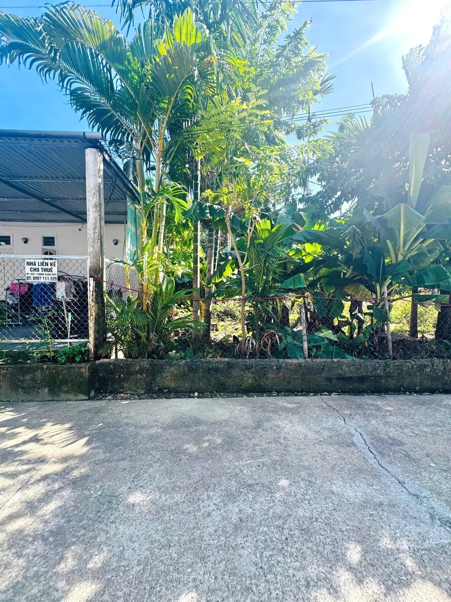 Bán đất kiệt oto 120m² trung tâm Huế 2.5 tỷ - Ảnh thu nhỏ 2