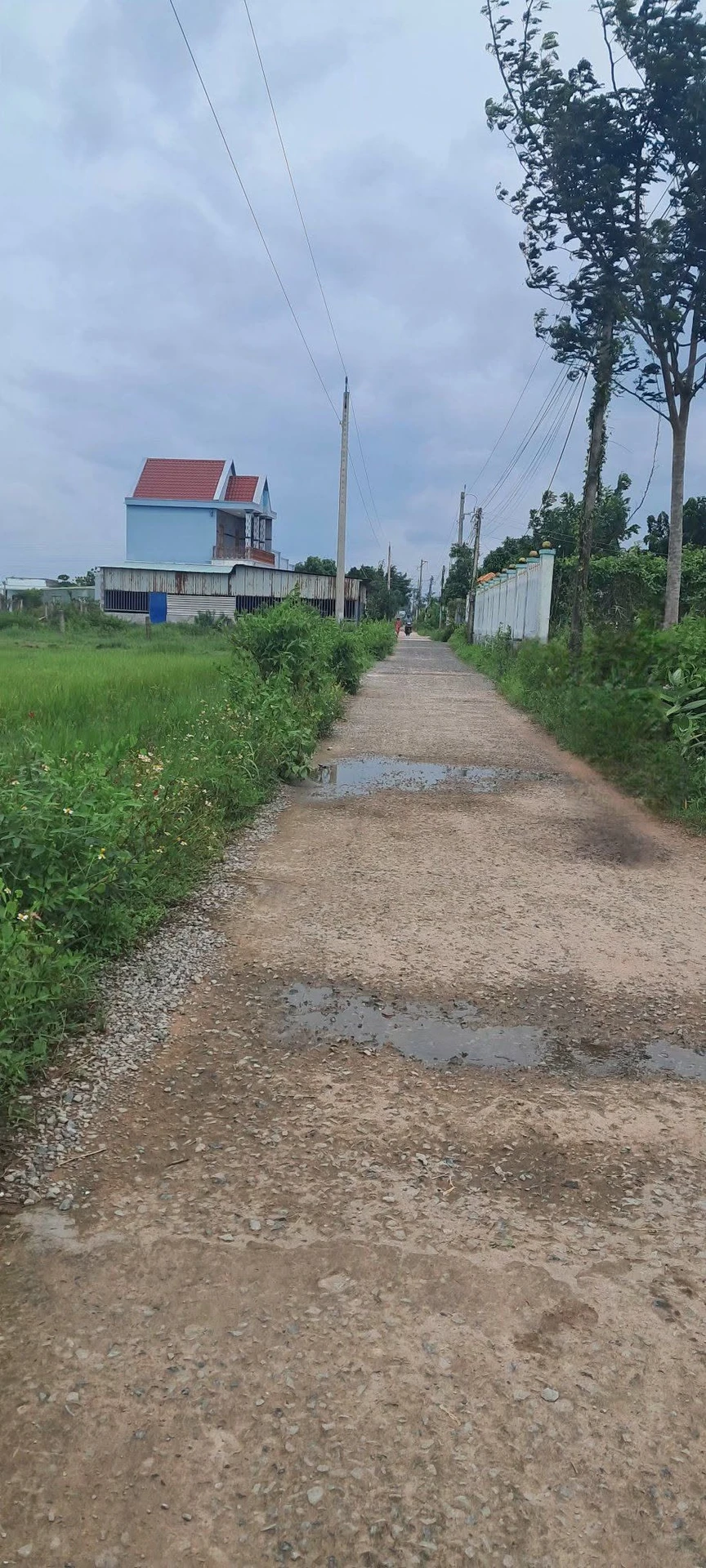 Bán lô đất thổ cư 100m² Bình An, Hàm Chính, Bình Thuận - Ảnh 1