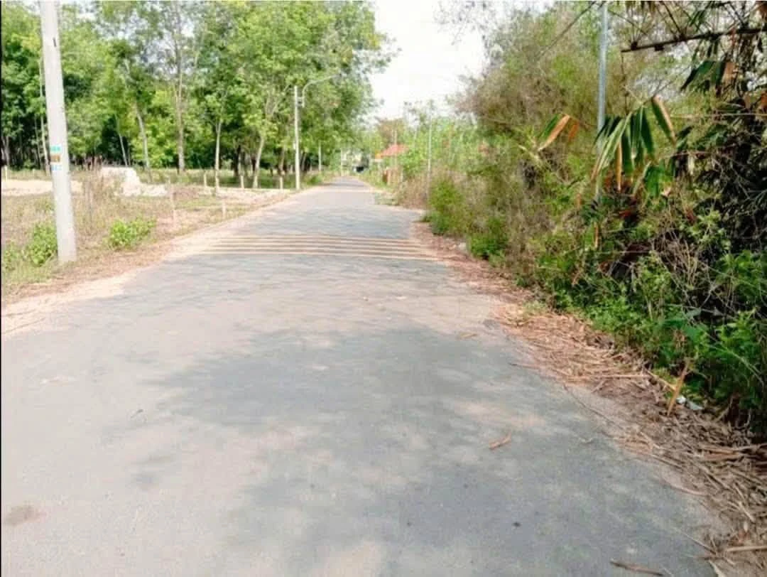 Bán lô đất 4.809m² Phú An, Thủ Đức - Ảnh thu nhỏ 3
