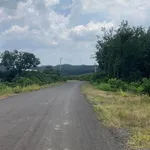 Bán 3,1 ha đất vườn điều tại Phú Trung, Bình Phước giá 3 tỷ 6 - Ảnh thu nhỏ 1