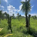 Bán đất 1300m² Tây Ninh 1 tỷ 500 triệu - Ảnh thu nhỏ 4