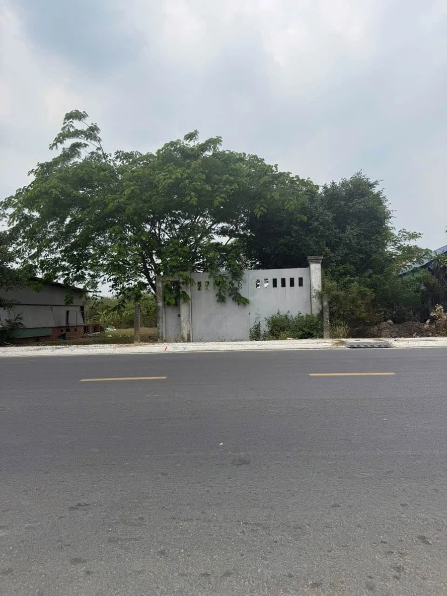 Bán đất 550m² mặt tiền tỉnh lộ 822, Bình Dương - Ảnh thu nhỏ 2