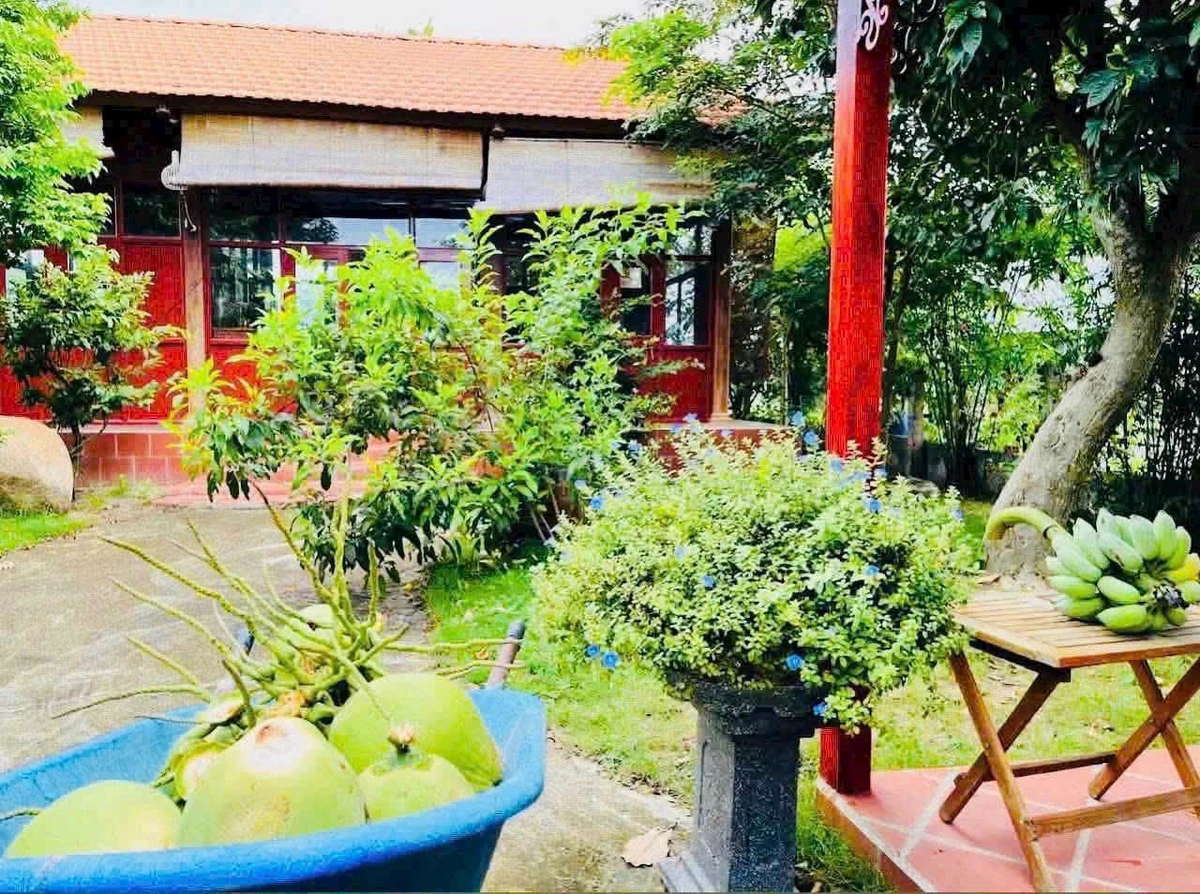 Bán nhà vườn 1.333m² Thôn 5 Hàm Liêm 1 tỷ 450 triệu - Ảnh thu nhỏ 2