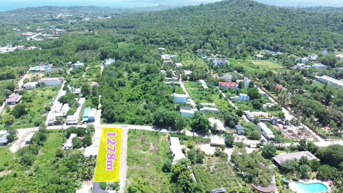 Bán lô góc 2 mặt tiền 1.278m² gần biển Ông Lang, Búng Gội - Ảnh thu nhỏ 3