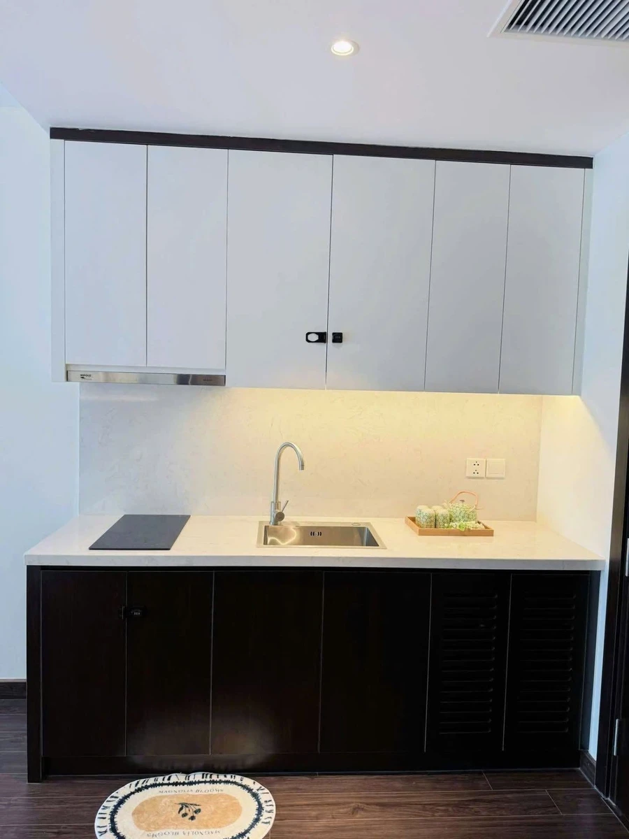 Bán căn hộ Sapphire 36.8m2 tại Vinhomes Bến Đoan 1,6 tỷ - Ảnh thu nhỏ 4