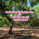 Bán đất 5.2ha Đồng Tâm Bình Phước giá 7.7 tỷ - Ảnh thu nhỏ 1