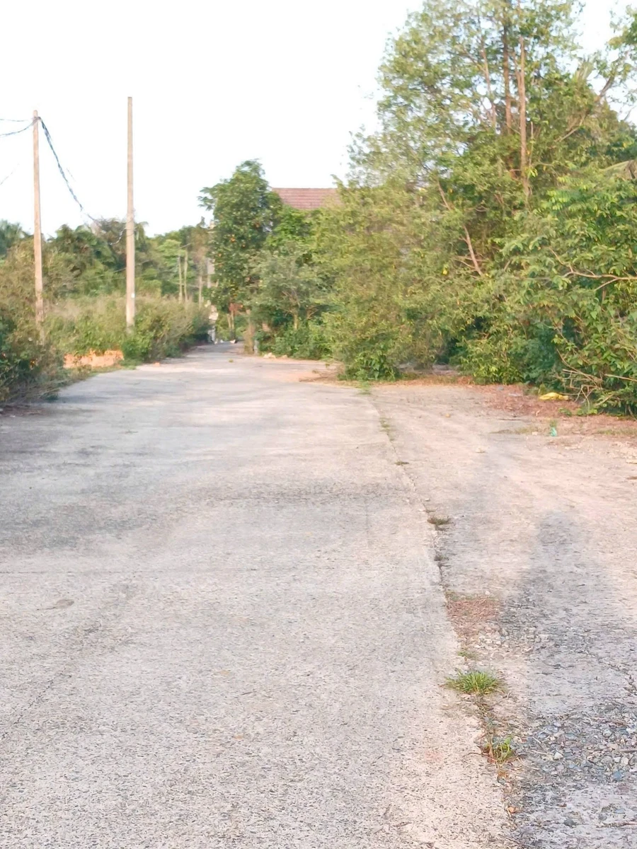 Bán đất Phú Quốc 100m2, 345 triệu - Ảnh thu nhỏ 3