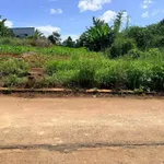Bán đất gần Đường Tránh Đông 330m² giá 790 triệu - Ảnh thu nhỏ 1