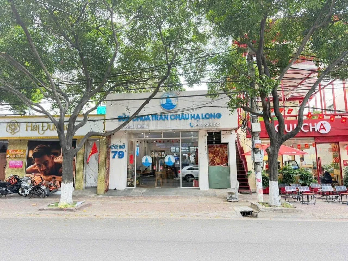 Bán nhà lầu mặt tiền Phan Trung 222m2 giá 20.5 tỷ - Ảnh 1