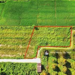 980tr, 1000m2 có thổ cư gần hết đất, gần dự án KCN Hiệp Thạnh, đường bê tông - Ảnh thu nhỏ 6
