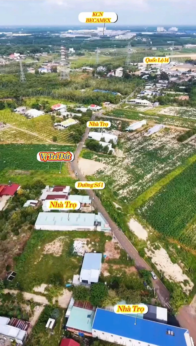 Bán đất xây kho xưởng hay trọ 10m x 120m Nha Bích Bình Dương - Ảnh thu nhỏ 2