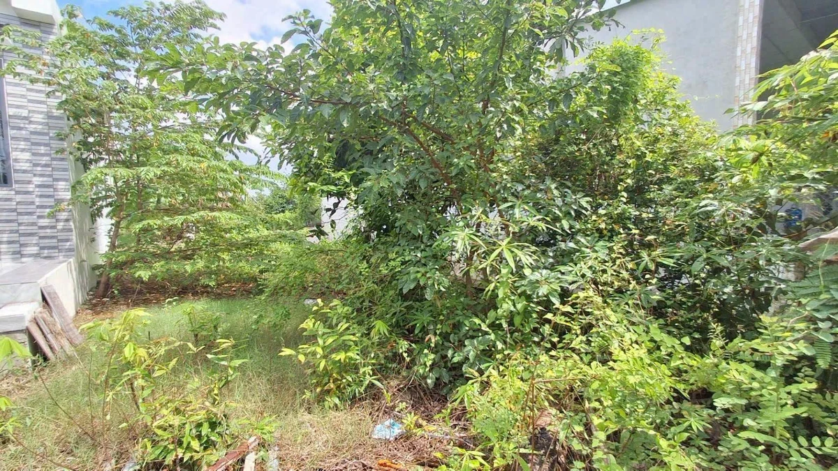 Bán đất thổ cư 196m2 mặt tiền nhựa ĐH Thanh Phong, Tân Trụ, giá 999 triệu - Ảnh thu nhỏ 2