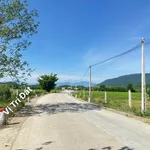 Bán đất thổ cư 150m² Khánh Hiệp, Khánh Hòa 99 triệu - Ảnh thu nhỏ 1