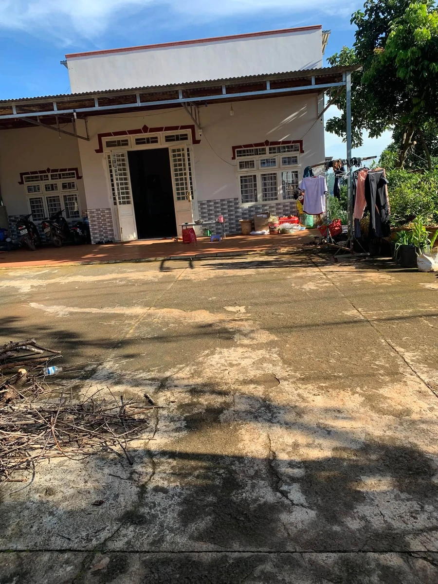 Bán đất vùng ven Đà Lạt 948m² – Nam Ban, Lâm Hà - Ảnh thu nhỏ 3
