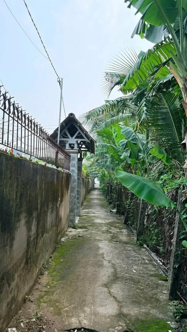 Bán đất Phường Phú Tân Bến Tre 300m² 750 triệu - Ảnh 1
