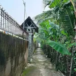 Bán đất Phường Phú Tân Bến Tre 300m² 750 triệu - Ảnh thu nhỏ 1