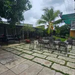 Nhà vườn 1030m2 Vĩnh Lộc A, Bình Chánh 17.5 tỷ - Ảnh thu nhỏ 4