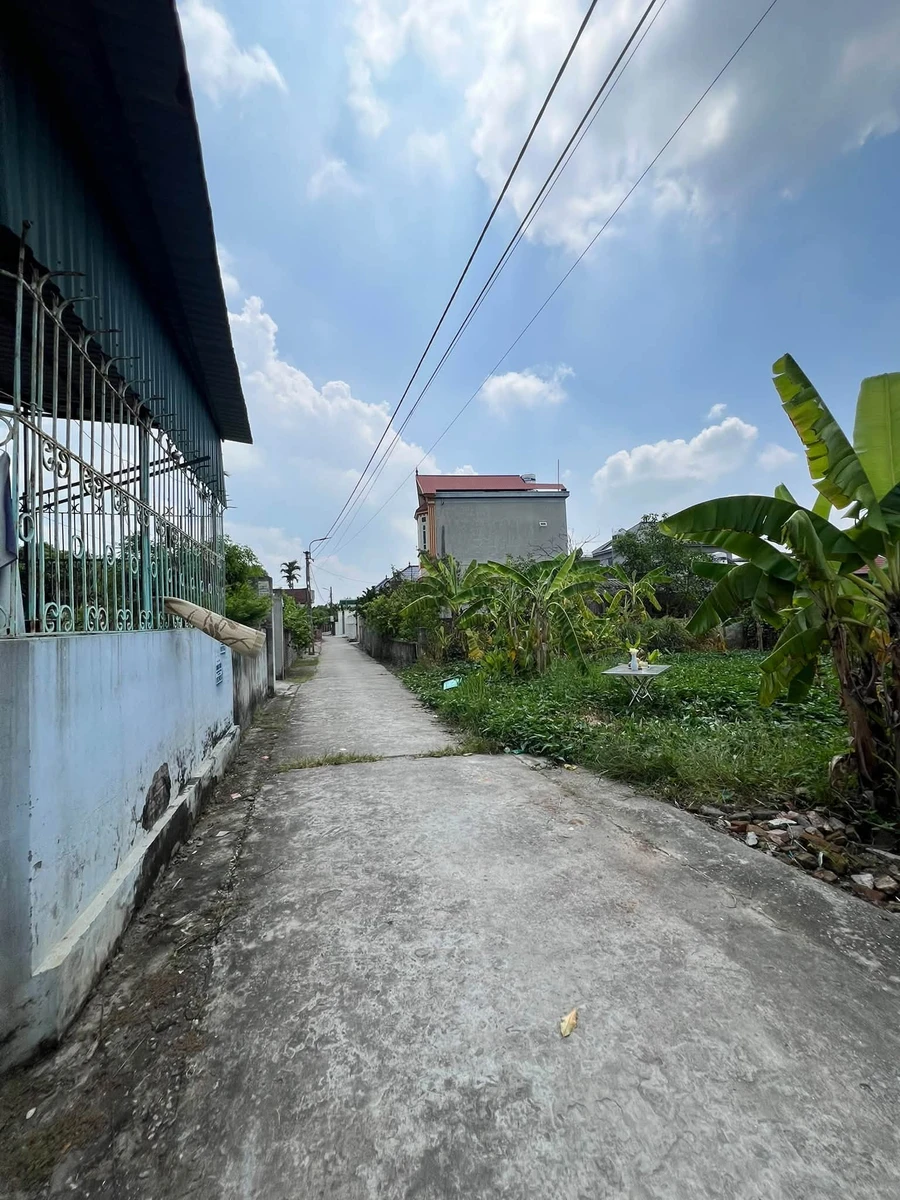 Bán lô đất thổ cư 73m² Thượng Hồng Bình Giang Hải Dương - Ảnh thu nhỏ 3