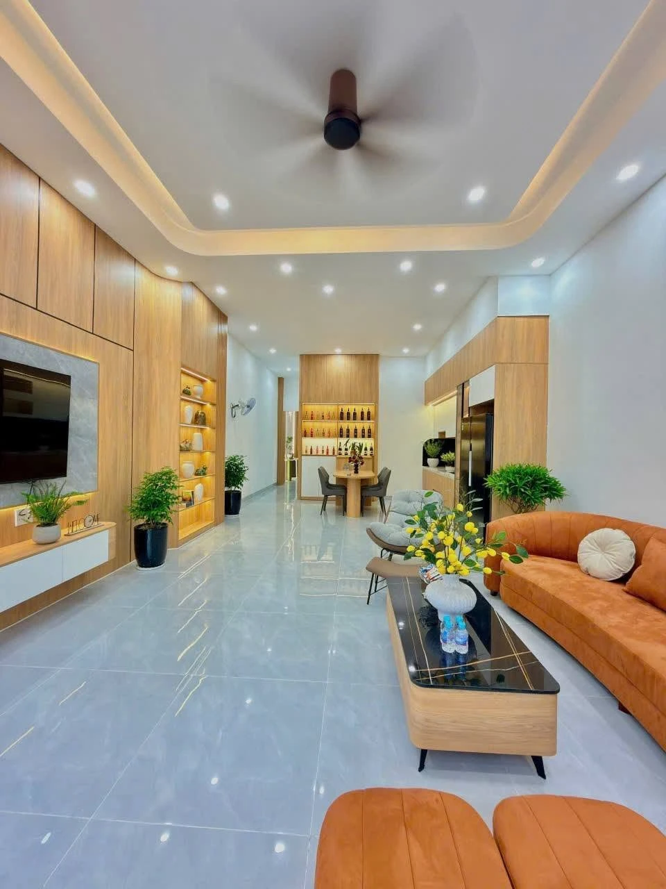 Bán nhà 3 phòng ngủ 165m² đường A1 Bình Mỹ - Ảnh 1