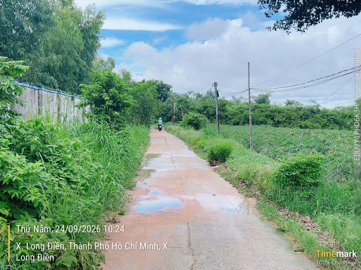 Bán đất An Ngãi Long Điền 500m2 599 triệu - Ảnh thu nhỏ 2