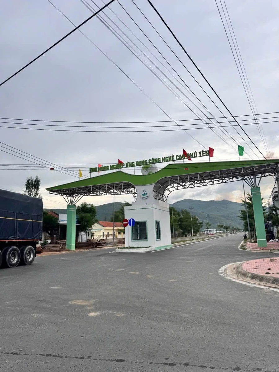 Bán vườn trái cây 900m² Phú Hoà 2 Nhà Bè - Ảnh thu nhỏ 3