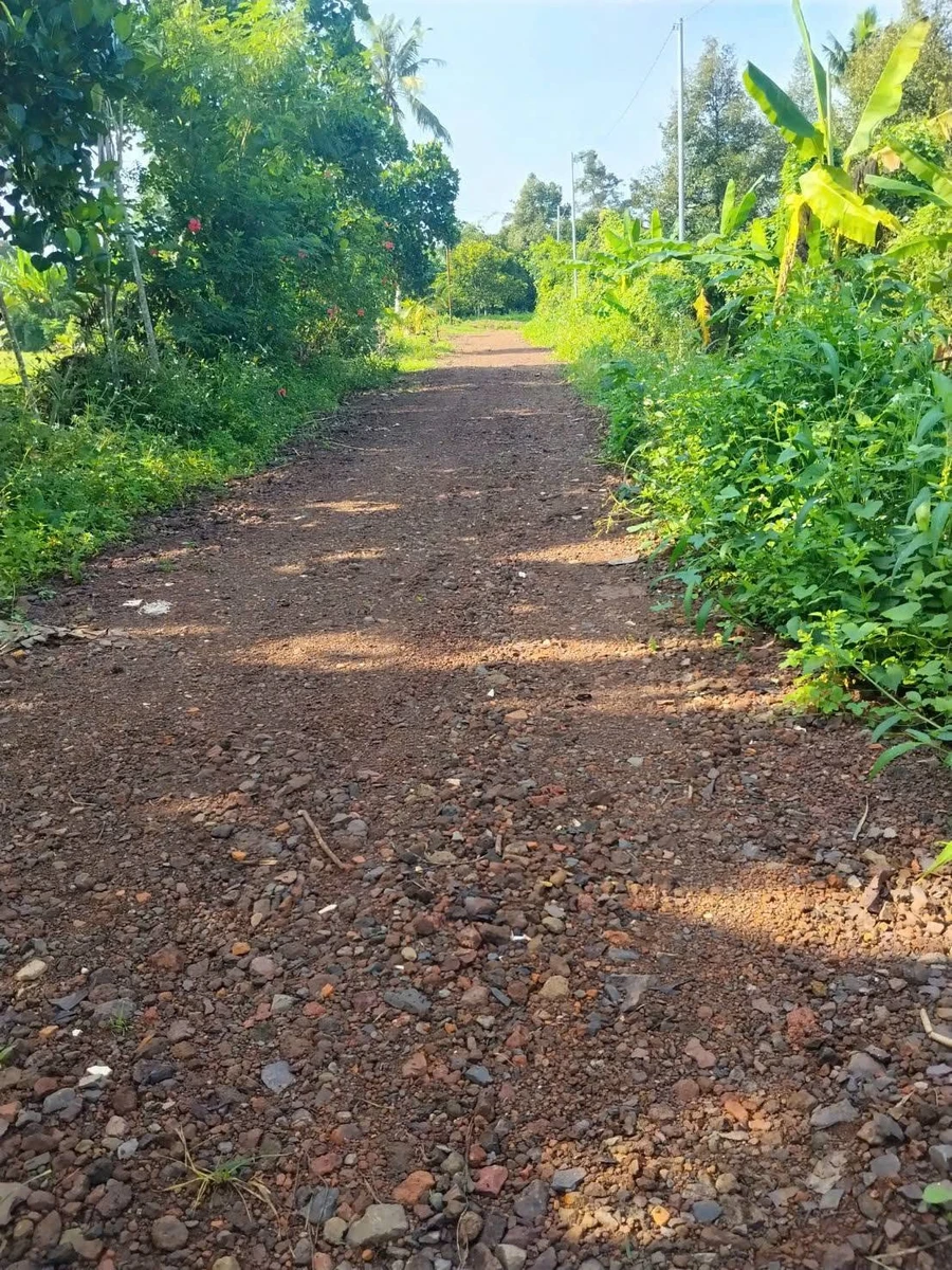 Bán đất vườn 500m² có thổ cư ở Long Khánh, Đồng Nai - Ảnh thu nhỏ 2