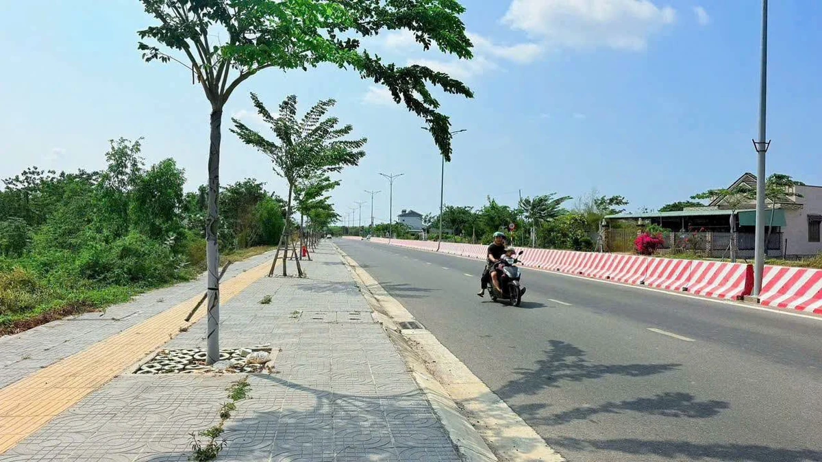 Bán đất 500m2 mặt tiền tỉnh lộ 44B Phước Hải 3 tỷ 5 - Ảnh thu nhỏ 3