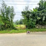 Chủ cần bán 1290m² tại Thanh Sơn, bám trục đường nhựa liên xã làm nghỉ dưỡng giá rẻ chỉ 3,7tr/m² - Ảnh thu nhỏ 3