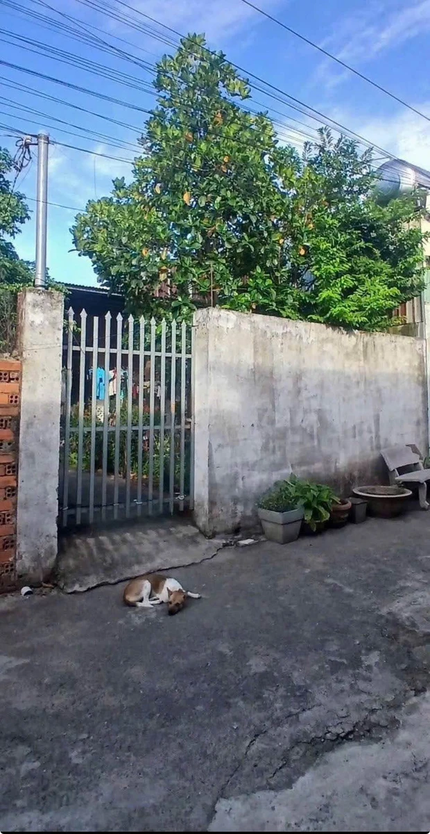 Bán nhà 1PN, sân rộng tại Vĩnh Cửu, 102 m² - Ảnh thu nhỏ 3