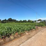 Bán đất Đông Thanh Nam Ban Lâm Hà 386m2 mặt tiền 1,3 tỷ - Ảnh thu nhỏ 1