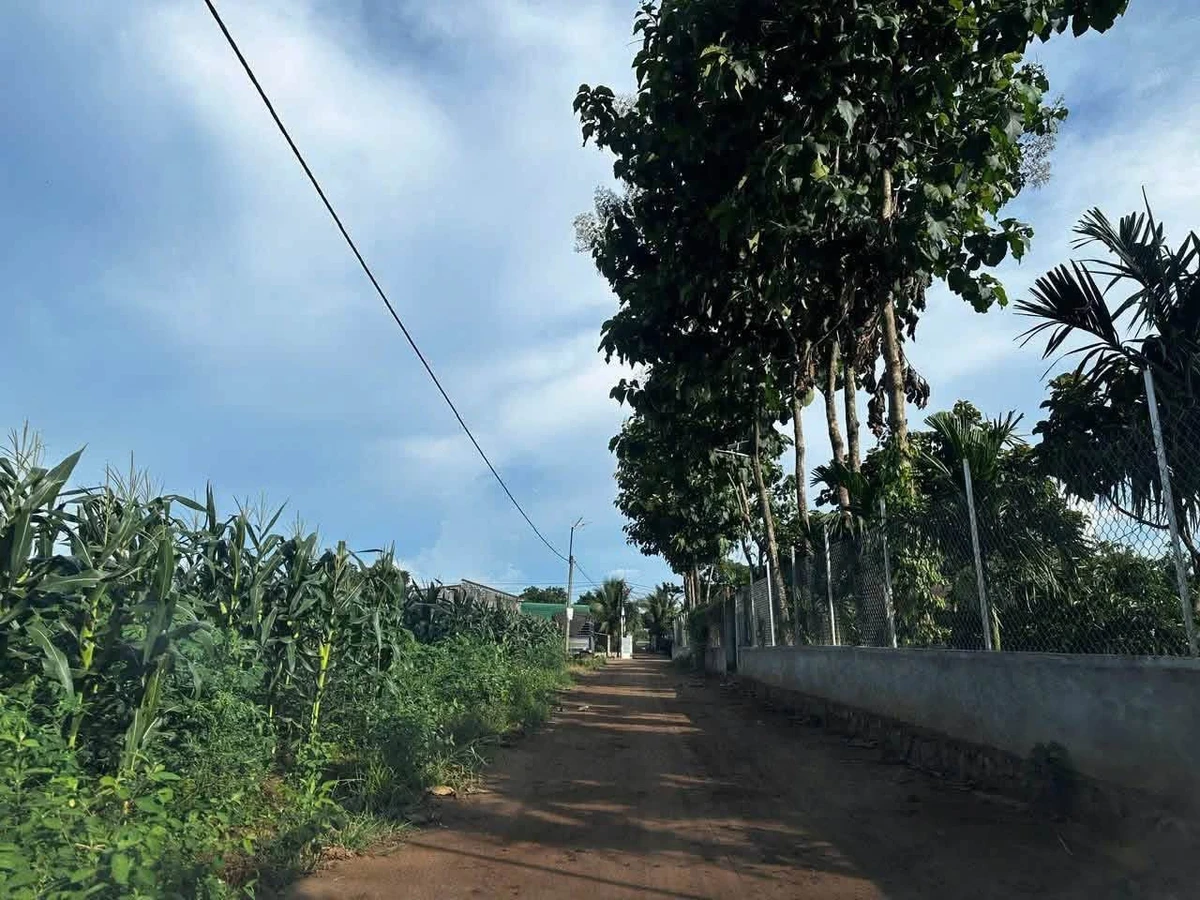 Bán 2 lô đất 5x30m xã Hòa Phú Quốc Lộ 14 - Ảnh thu nhỏ 2