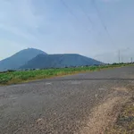 Bán đất vui núi 1008m² Thạnh Lợi, Tây Ninh 650 triệu - Ảnh thu nhỏ 1