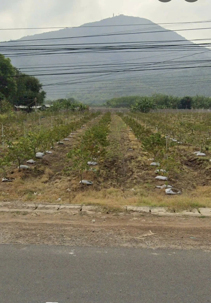 Bán đất mặt tiền 1.666m² Đường Tỉnh 785, Tây Ninh - Ảnh thu nhỏ 3