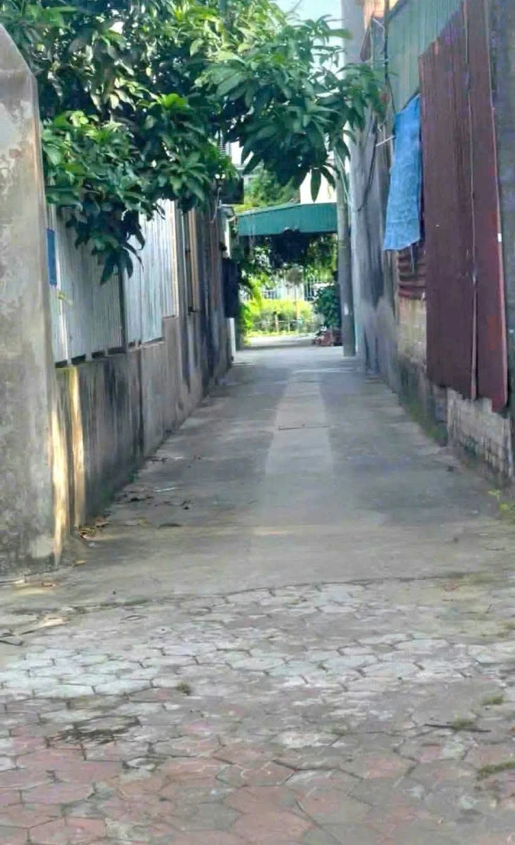 Bán đất ngõ phố Mai Độ, 79m² mặt 4m, Hải Dương 1.5 tỷ - Ảnh thu nhỏ 2