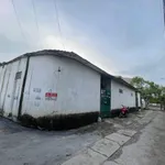 Bán đất ngõ Nguyễn Sỹ Sách 51m2 giá 2.3 tỷ Quận 5 - Ảnh thu nhỏ 2
