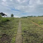 Bán đất 1.000m² mặt tiền Gia Kiệm, Đồng Nai 200 triệu - Ảnh thu nhỏ 2