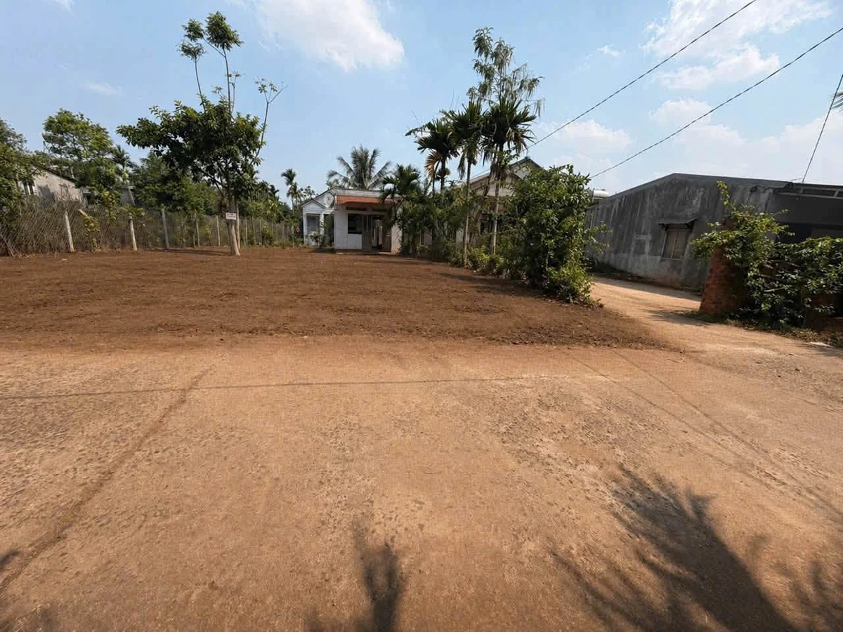 Bán đất 240m² Tân Lập, Bình Chánh 1 tỷ 280 triệu - Ảnh thu nhỏ 3