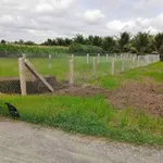 Bán 2 lô đất mặt tiền kênh N7, Tiền Giang, 158m² - Ảnh thu nhỏ 2