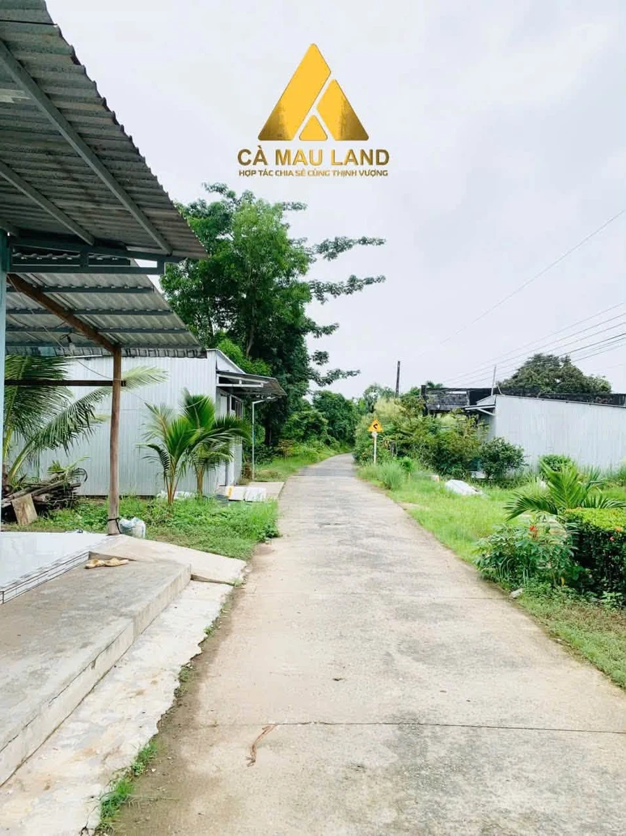 Bán lô đất vườn 5838m² Phường An Xuyên Cà Mau 2 tỷ - Ảnh 1