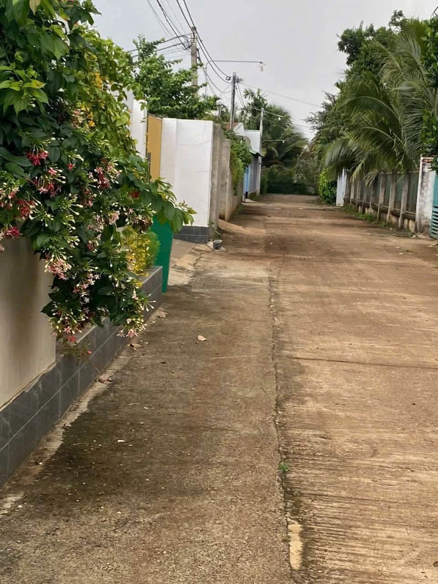 Bán đất Eakao 156m² 1 tỷ 3 - Ảnh thu nhỏ 5